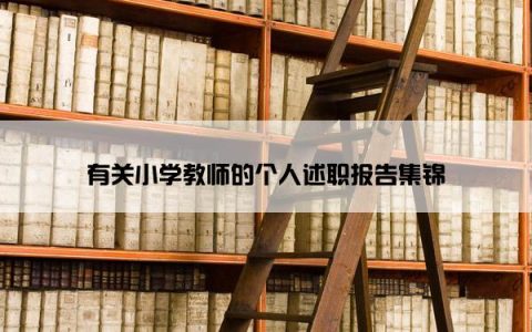 有关小学教师的个人述职报告集锦