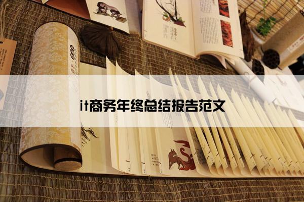 it商务年终总结报告范文