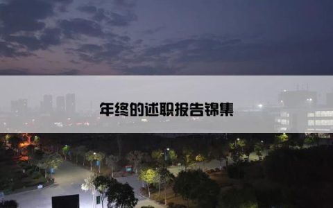 年终的述职报告锦集