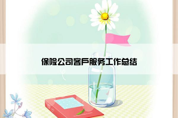 保险公司客户服务工作总结