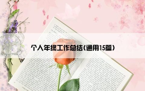 个人年终工作总结(通用15篇)
