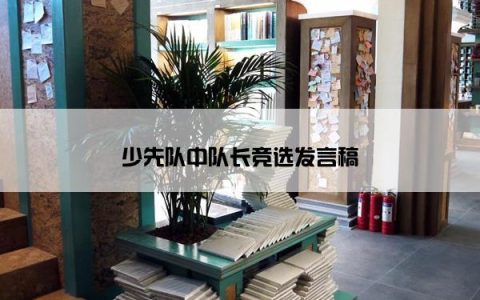 少先队中队长竞选发言稿