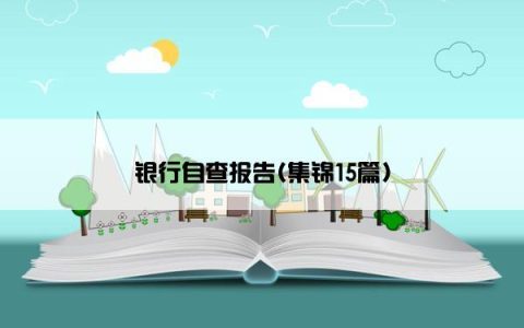 银行自查报告(集锦15篇)