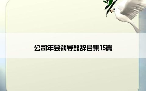 公司年会领导致辞合集15篇