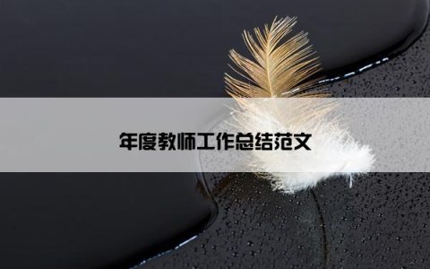 年度教师工作总结范文