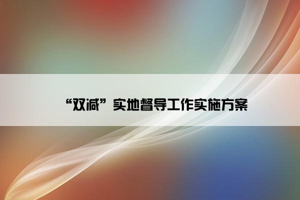 “双减”实地督导工作实施方案