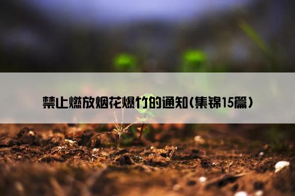 禁止燃放烟花爆竹的通知(集锦15篇)