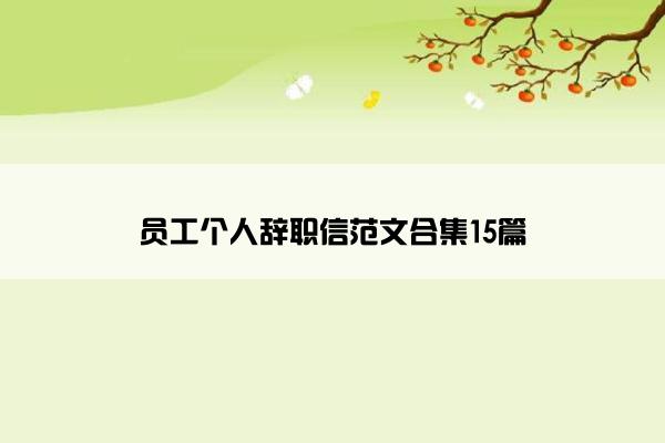 员工个人辞职信范文合集15篇