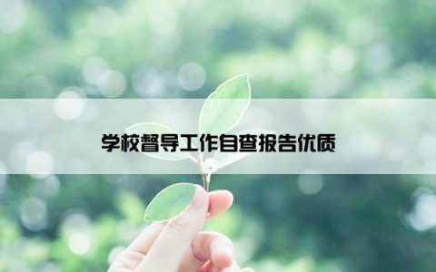 学校督导工作自查报告优质