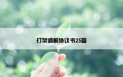 打架调解协议书25篇