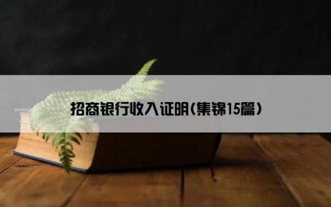 招商银行收入证明(集锦15篇)