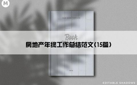 房地产年终工作总结范文(15篇)
