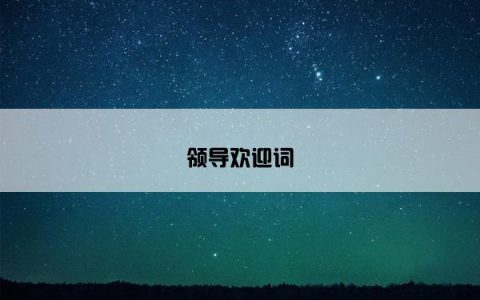 领导欢迎词
