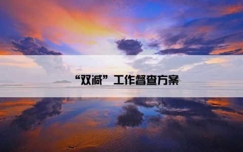 “双减”工作督查方案