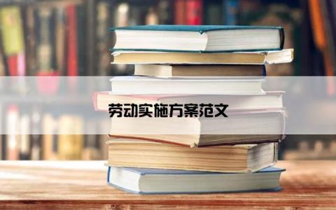 劳动实施方案范文