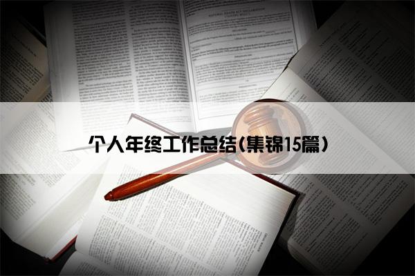 个人年终工作总结(集锦15篇)