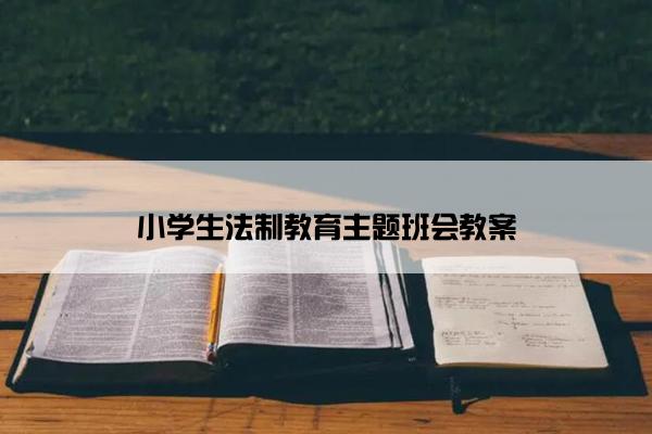 小学生法制教育主题班会教案