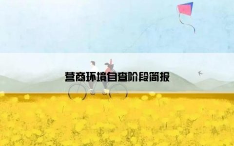 营商环境自查阶段简报
