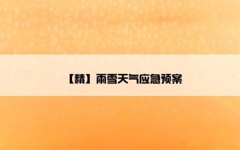 【精】雨雪天气应急预案