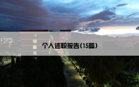 个人述职报告(15篇)