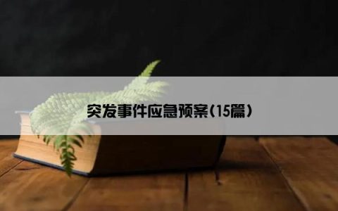 突发事件应急预案(15篇)