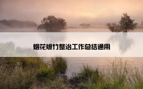烟花爆竹整治工作总结通用