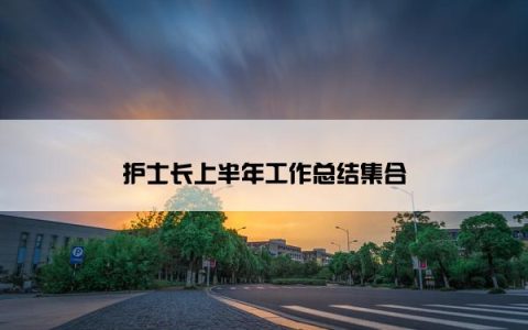 护士长上半年工作总结集合