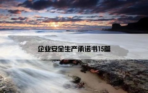 企业安全生产承诺书15篇