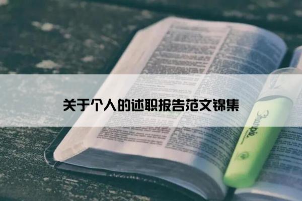 关于个人的述职报告范文锦集