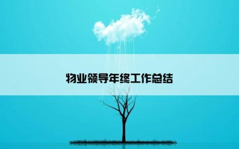 物业领导年终工作总结