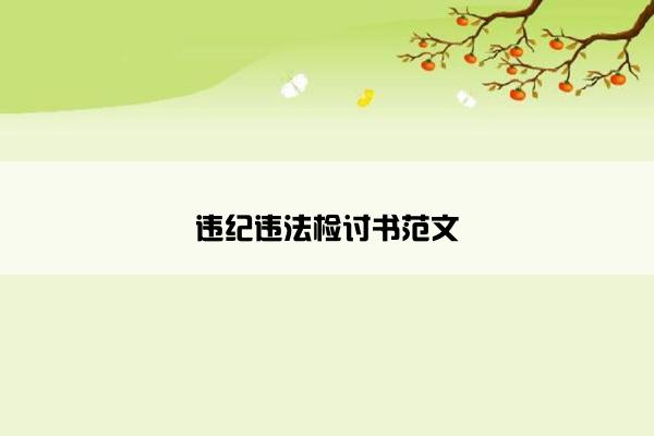 违纪违法检讨书范文