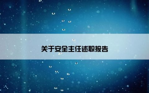关于安全主任述职报告
