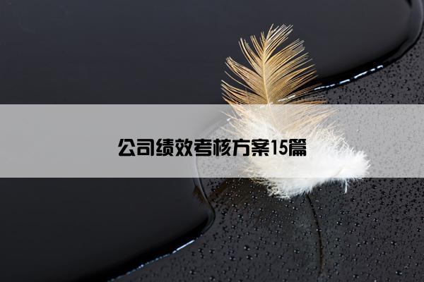 公司绩效考核方案15篇