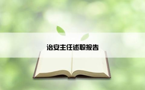 治安主任述职报告