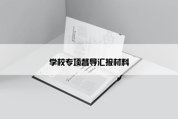 学校专项督导汇报材料