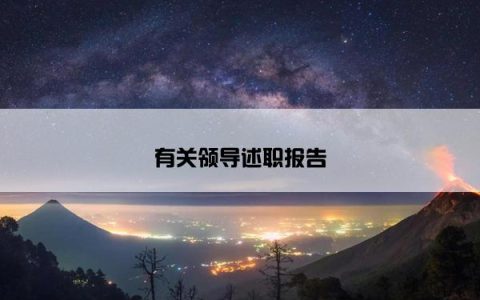 有关领导述职报告
