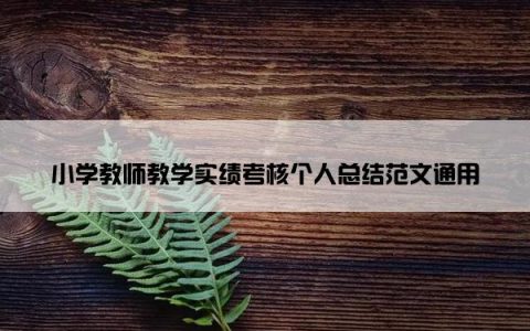 小学教师教学实绩考核个人总结范文通用