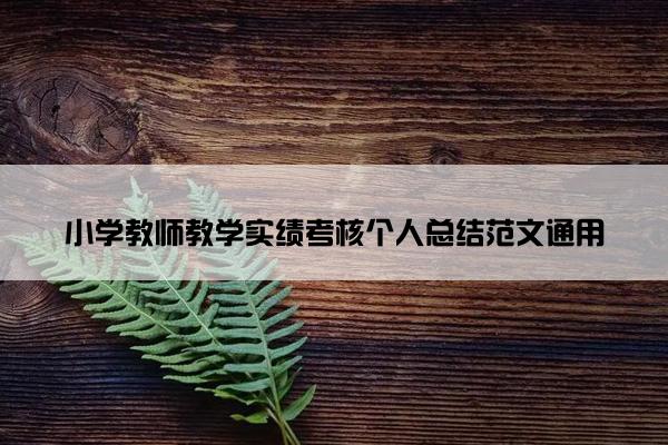 小学教师教学实绩考核个人总结范文通用