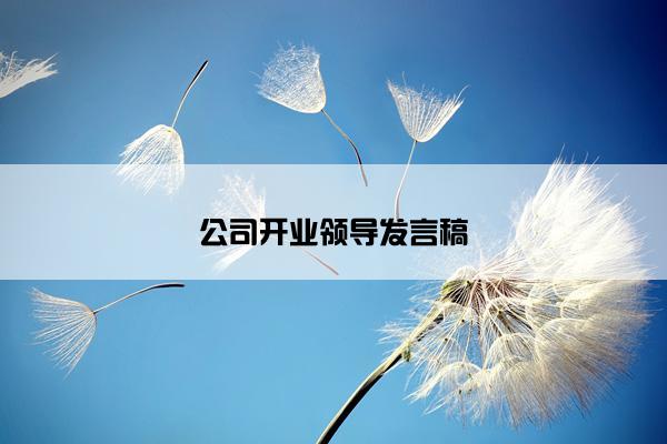 公司开业领导发言稿