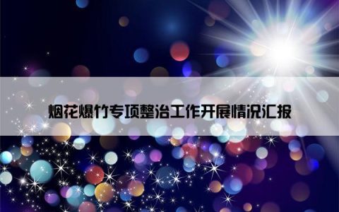烟花爆竹专项整治工作开展情况汇报