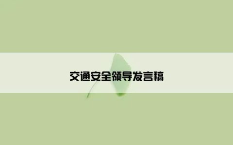 交通安全领导发言稿