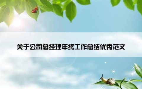 关于公司总经理年终工作总结优秀范文