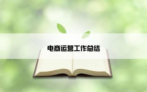 电商运营工作总结
