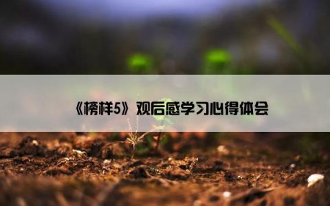 《榜样5》观后感学习心得体会