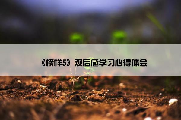 《榜样5》观后感学习心得体会