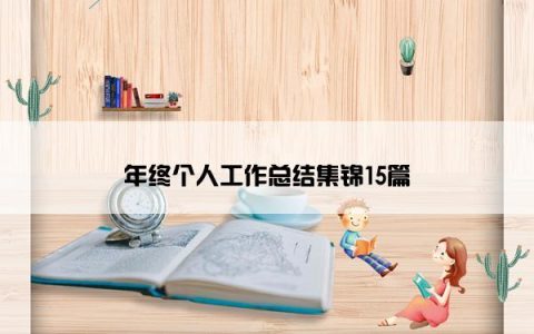 年终个人工作总结集锦15篇