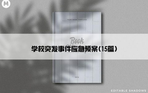 学校突发事件应急预案(15篇)