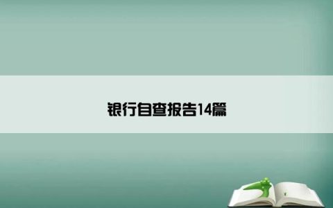 银行自查报告14篇