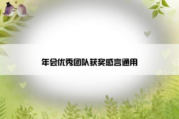 年会优秀团队获奖感言通用