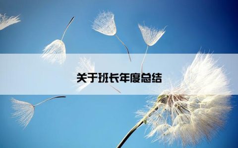 关于班长年度总结
